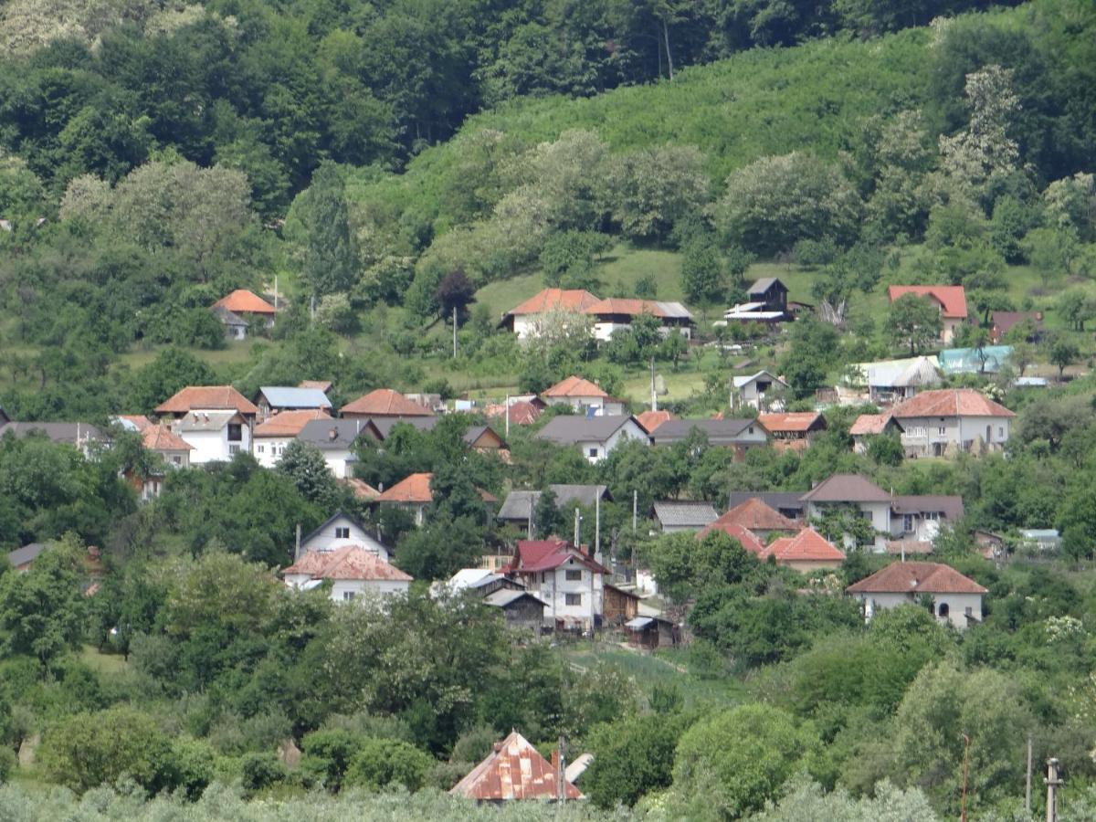 Pensiunea Lacul Albesti Albestii Paminteni Bagian luar foto