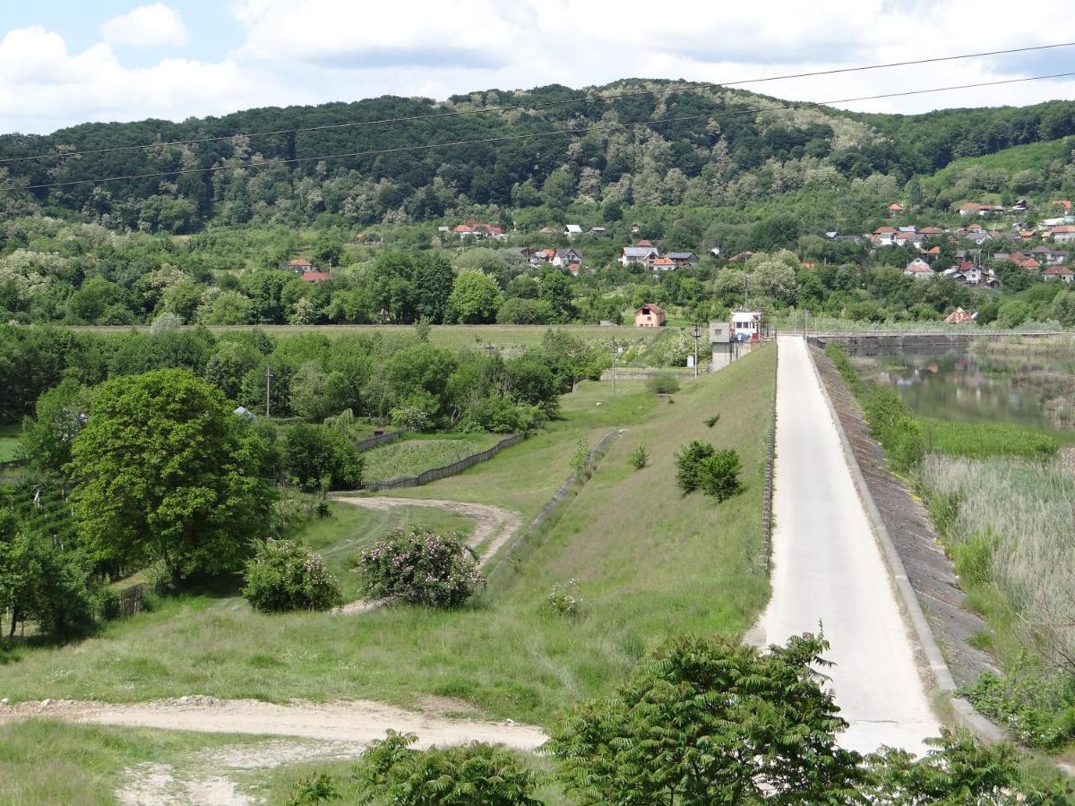 Pensiunea Lacul Albesti Albestii Paminteni Bagian luar foto
