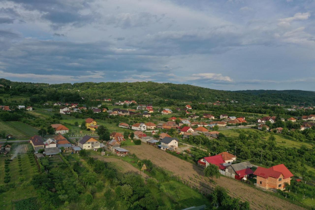 Pensiunea Lacul Albesti Albestii Paminteni Bagian luar foto