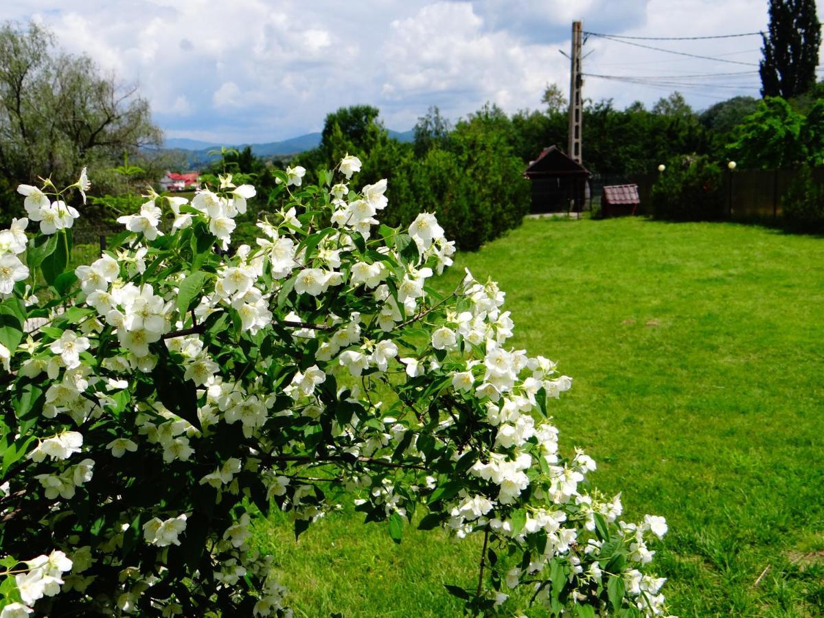 Pensiunea Lacul Albesti Albestii Paminteni Bagian luar foto