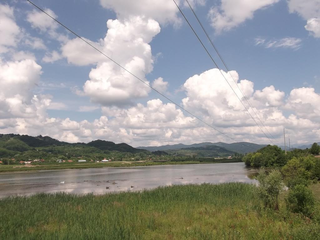 Pensiunea Lacul Albesti Albestii Paminteni Bagian luar foto