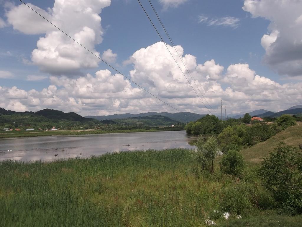 Pensiunea Lacul Albesti Albestii Paminteni Bagian luar foto