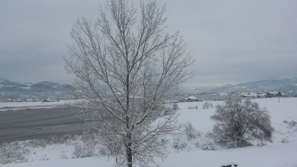 Pensiunea Lacul Albesti Albestii Paminteni Bagian luar foto